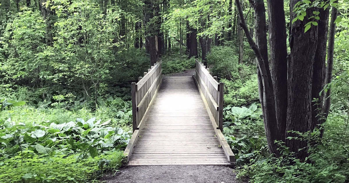 Hayes Nature Park_ADA Bridge Trail