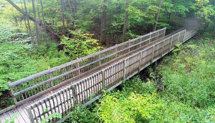 Hayes Nature Park wood bridge